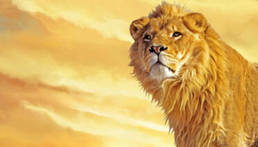El león rey - fábulas de esopo